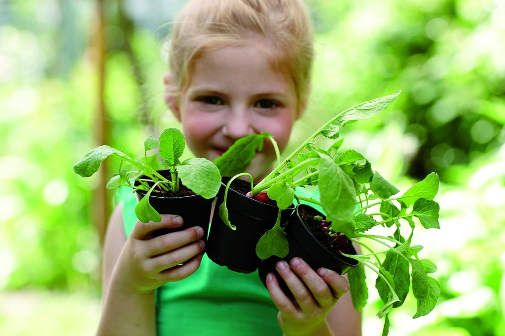 green basics growpot starter set.i2.jpg