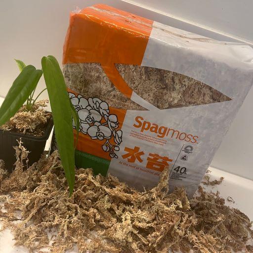 Spagmoss 500g (40l) - Classic