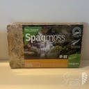 Spagmoss  - 100g (8l) super compressed