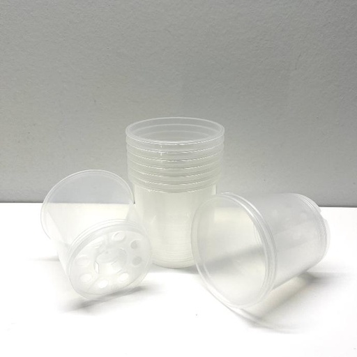 Clear Aroid pots (set of 10)