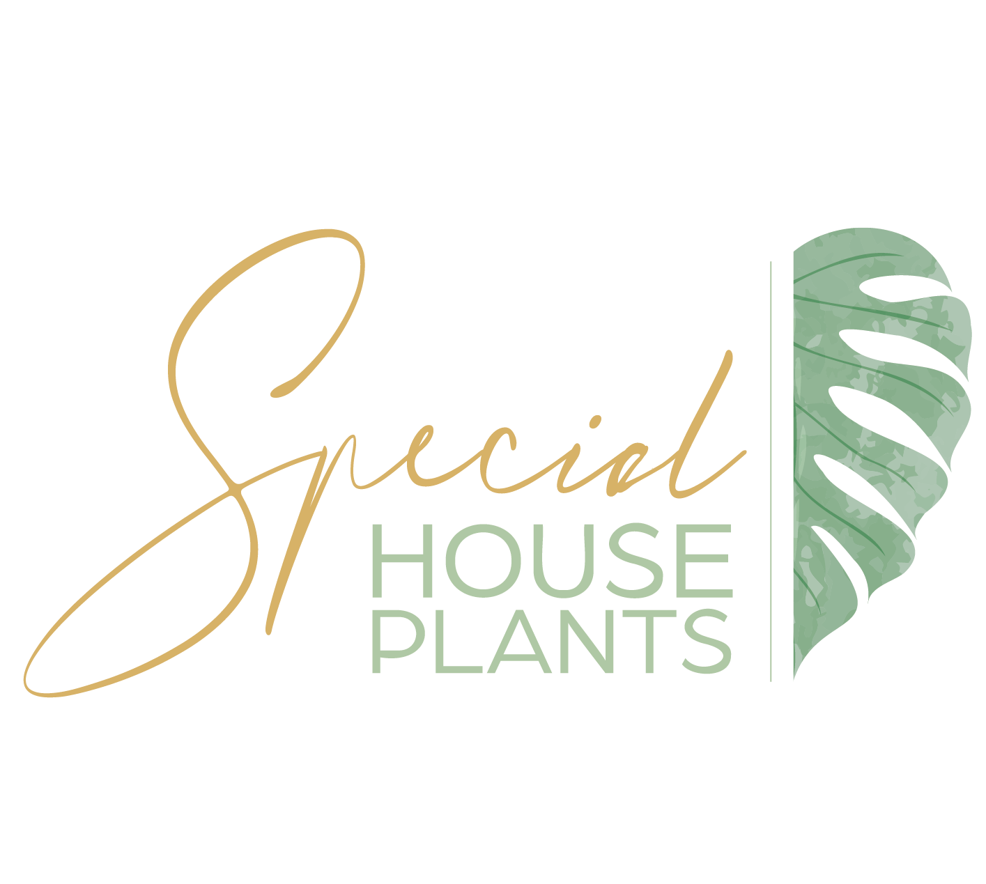 Special Houseplants